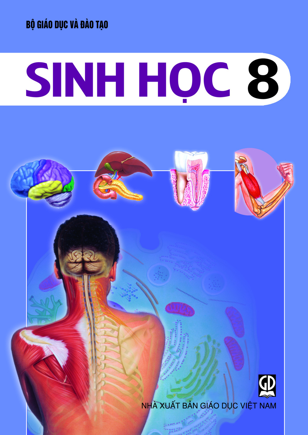 Download Sinh học 8