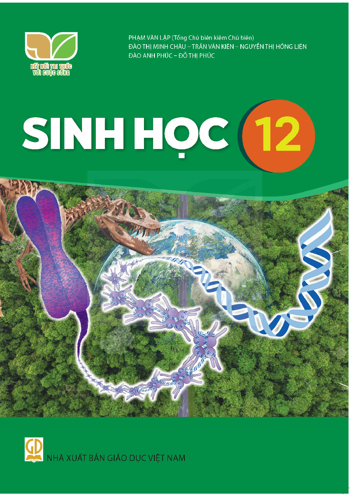 Download SGK Sinh học 12 - Kết Nối Tri Thức